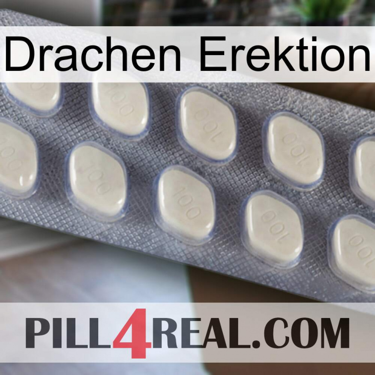 Dragon Erection 08